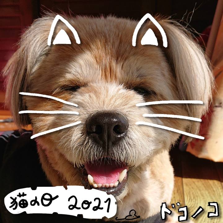 E44a53a2 8c37 4d32 bbee 610ef3e53c27 1613985902988