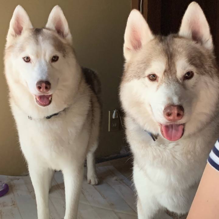 E44a5dd8 734e 49ec 8caf 05e04040c8cf 1635646776869