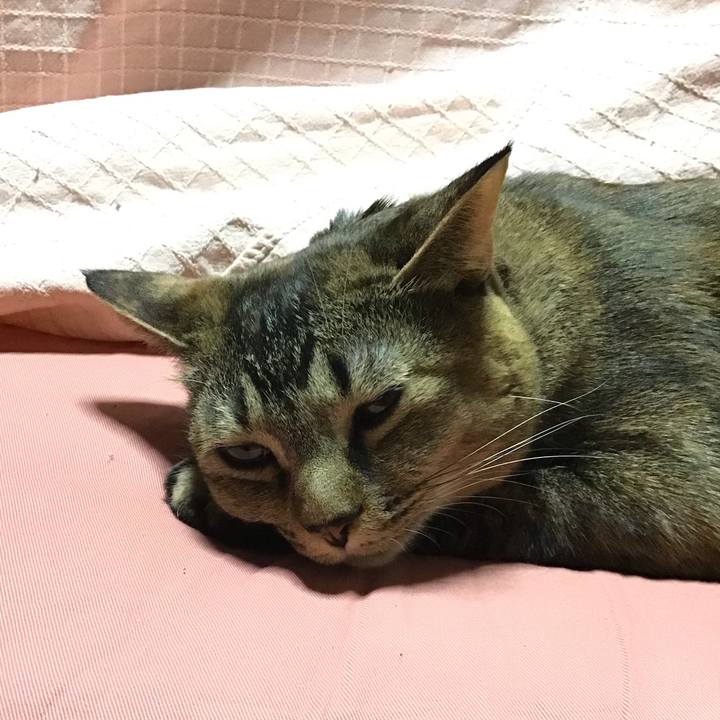 E44ad47f 9738 469e ba37 5d38cb5c1802 1642844705280