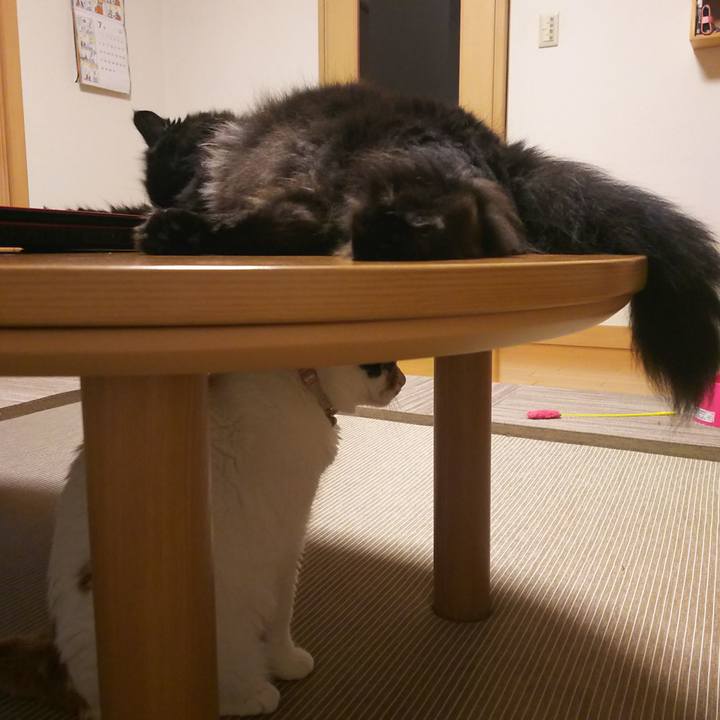 E44ae0c4 8874 4678 a73f d3374fbe9276 1564233798974