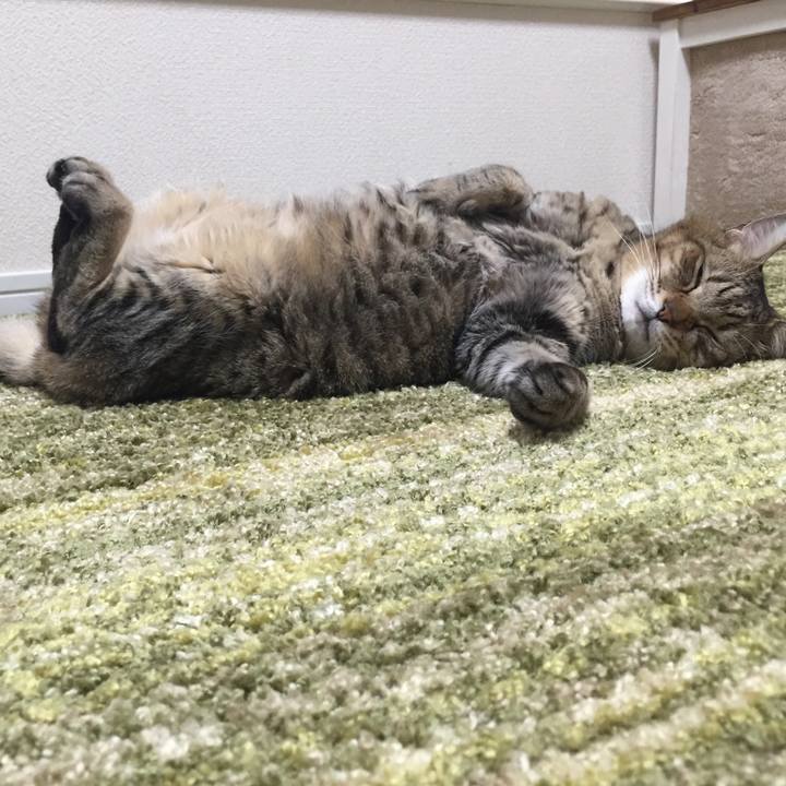 E44b0516 8b44 4ae7 ab73 f0cbeb6d093f 1694607618215