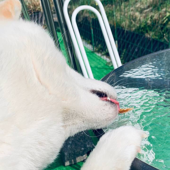 E44b23cc d86f 4c79 b9af e1f910ef5acc 1588485360467