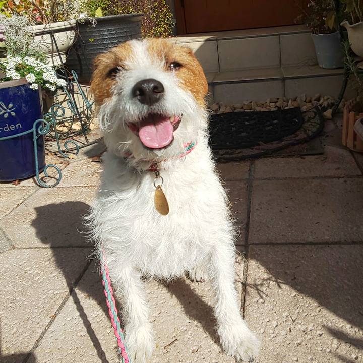 E44bb444 7812 43e6 9334 19a15375bbb6 1615422488577