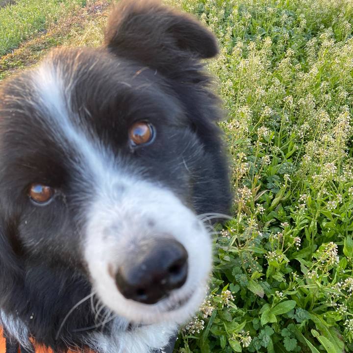 E44bb8ae 50d2 4cdf a8a4 61a6102af2b2 1612568973807