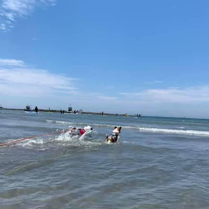 E44bce4a 8ee2 45a9 bc74 9743f5dc5167 1655008740108