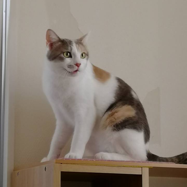 E44bdef8 f8ba 4973 b6c3 59ec98a0a552 1558050366314