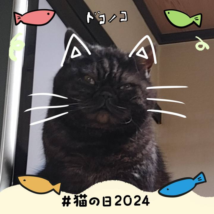 E44bf852 058c 4513 b1c1 878609df1a58 1708582895090