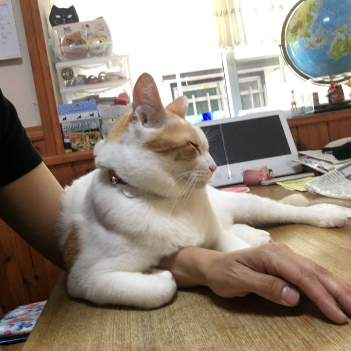 E44c265e 0c5e 474e 8fd9 d8279d267331 1533710324773