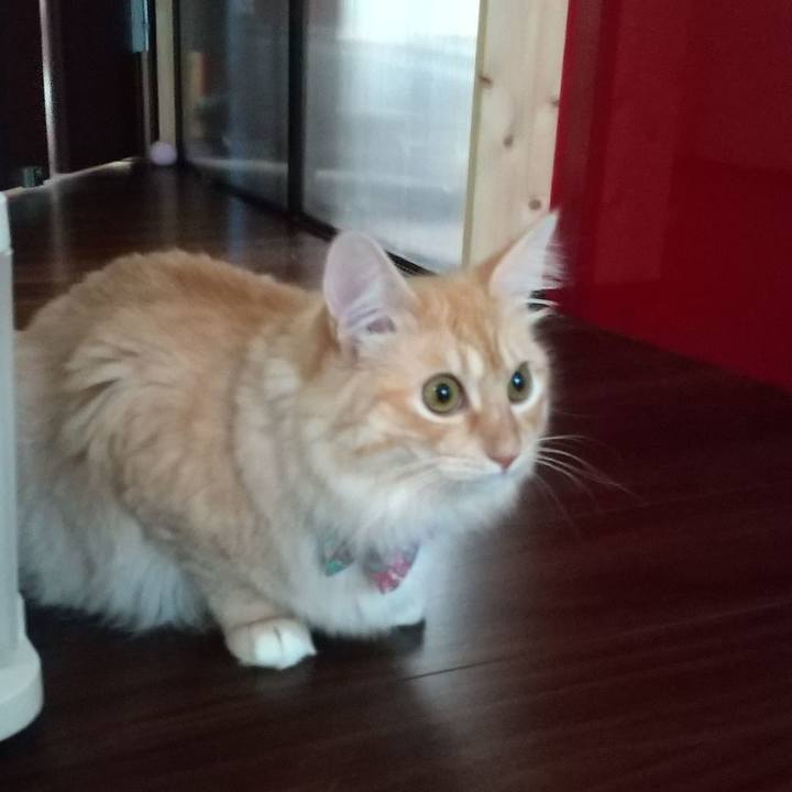 E44c2db3 3746 4170 80a5 39408e34b6ca 1632952152515