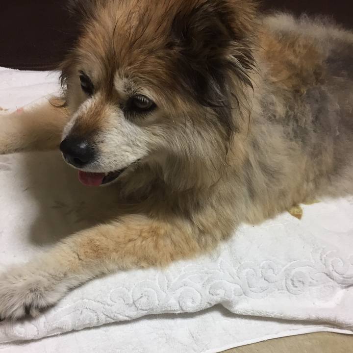 E44c315c a828 4457 8dbe b69c956a4eb8 1587339301157