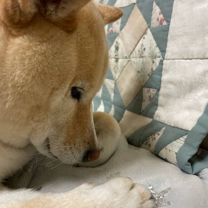 E44c570b 3637 45b6 b389 14c3a17caa1e 1744638655554