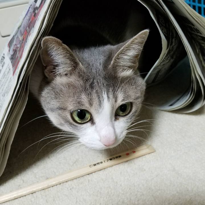 E44d024e aad2 4b14 bb23 4a8b0b23840a 1518785403046