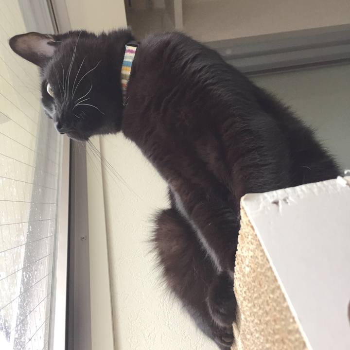 E44d1537 505d 499b 93c2 b0888fc32d77 1508635772263