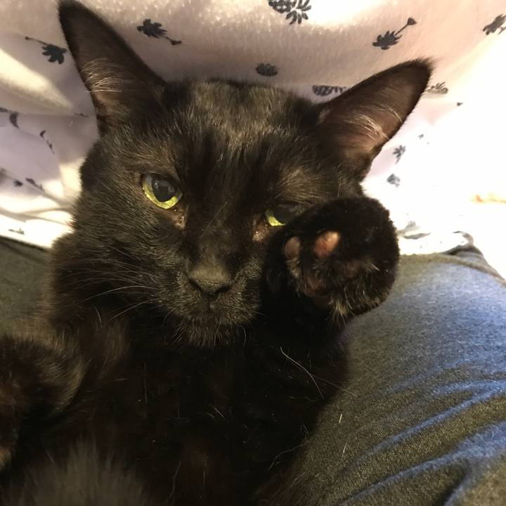 E44d2e8c 63c8 4d54 b5a6 074843c0d56b 1541918922046