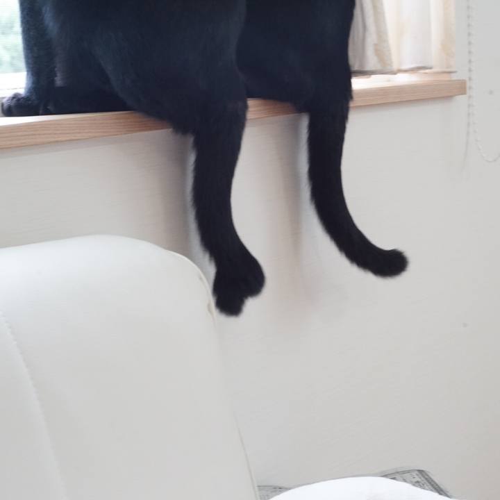 E44d4df2 06c8 4bfb 9166 f9a57bc010d9 1526513234279