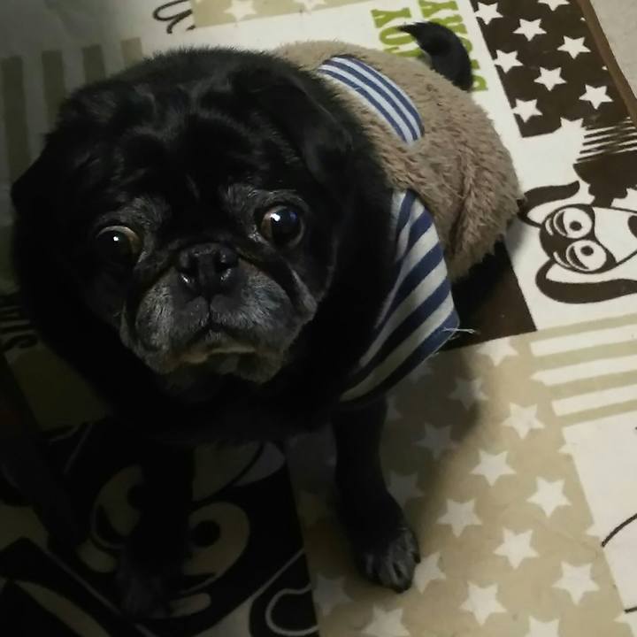 E44d5d92 059d 451f 8958 8809d7ff090b 1519192190482