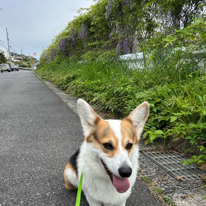 E44d6dd3 6a1d 412a b4b5 3d83400f73b0 1776863462968