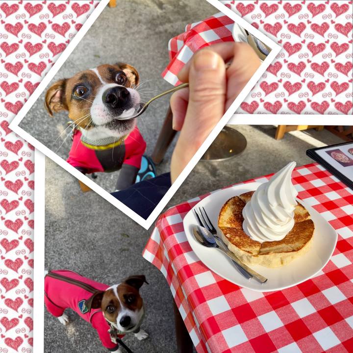 E44d9c29 aa74 4632 9449 4ea73d50f03a 1635058235111