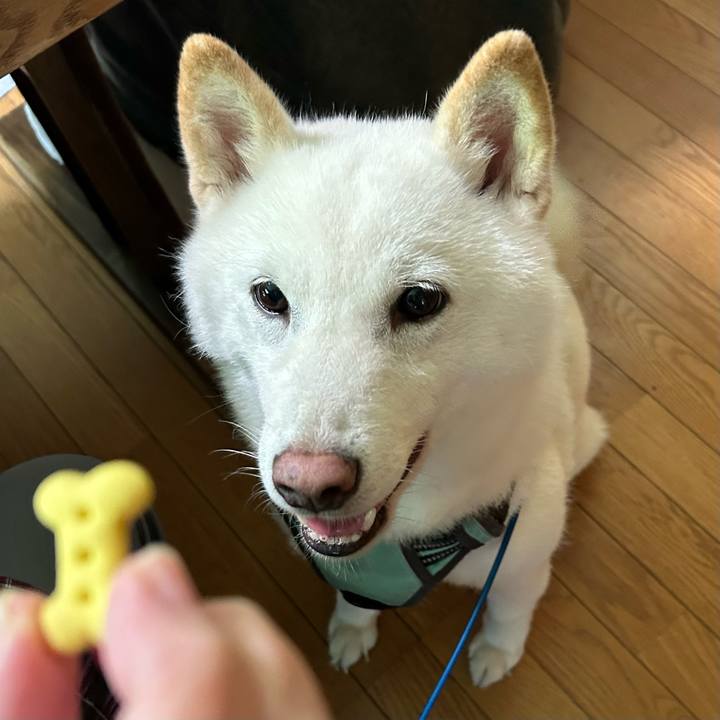 E44dab0b d03b 46a0 a401 bf14fbde96f9 1690847424698