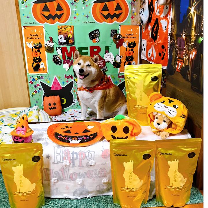 E44db4ac bc86 4c31 8758 af8ee649a220 1663674709300