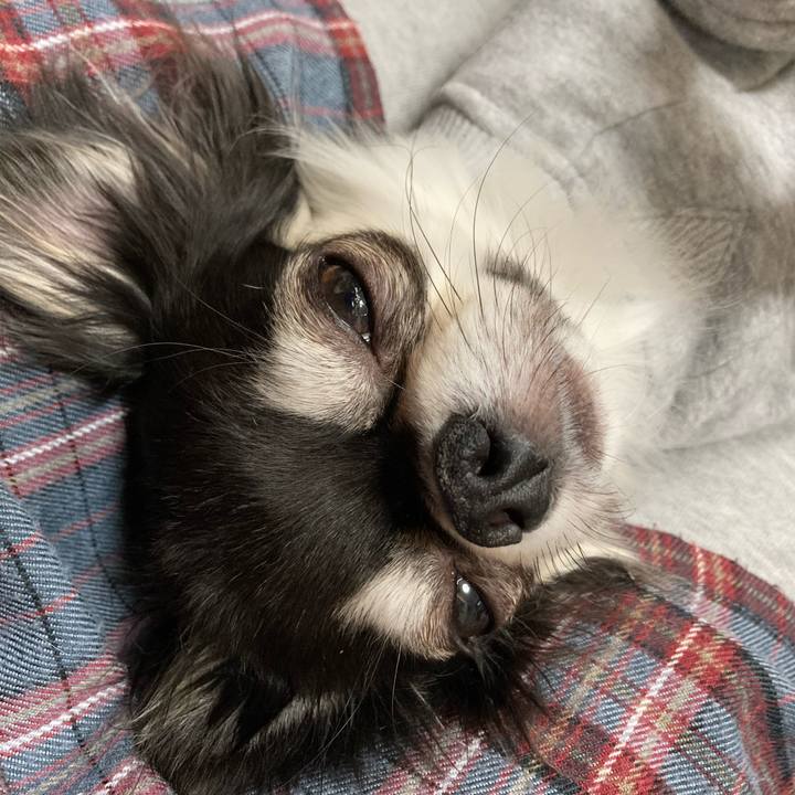 E44dc66c c10a 417f bc00 a4687101ab67 1640872103359