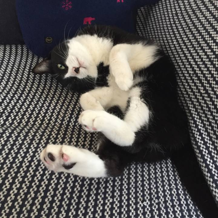 E44e4490 3000 48a8 83a9 bfab34b06553 1538960994258