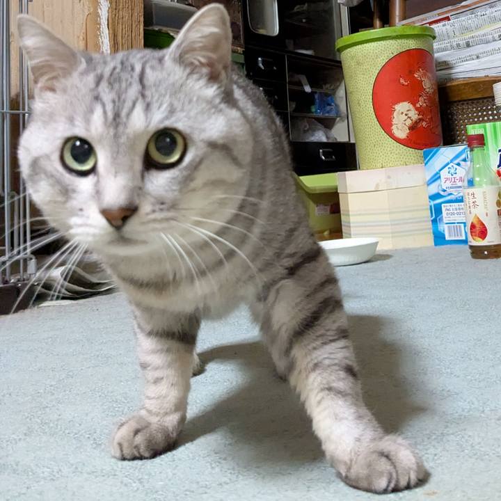 E44e78ce 7eae 4b8a aa1d b265de0ec31f 1738773010198