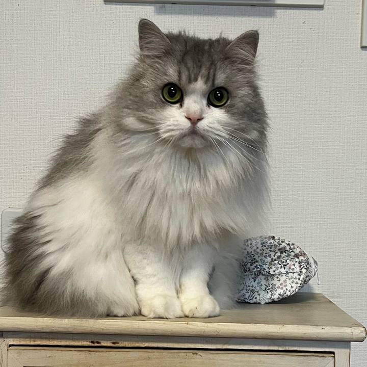 E44e7c06 2f1b 4f19 be3b f755115e4b34 1734787698104