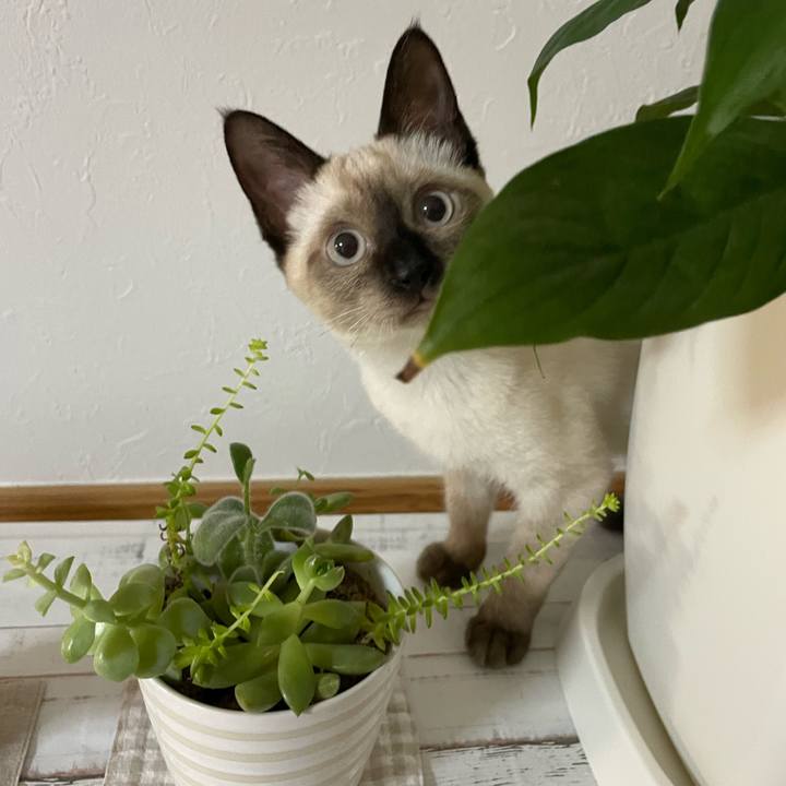 E44eaf7f 6371 44c5 a531 dc26474549c3 1692044734763