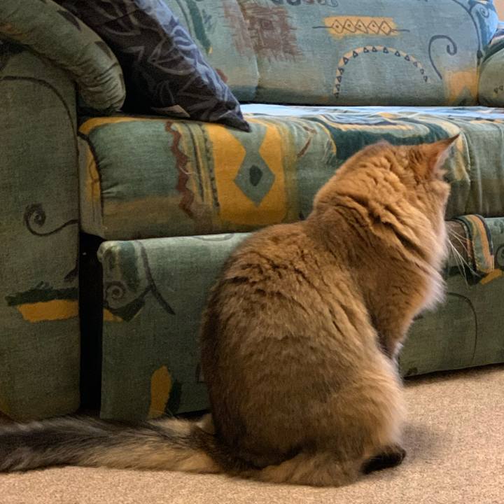 E44f27d9 1b00 4469 a7e3 dac04db85053 1755728476138