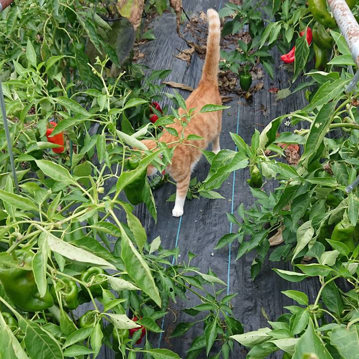 E44f8b0a 5c57 4b47 b5ed f35dec85c01a 1571470158392