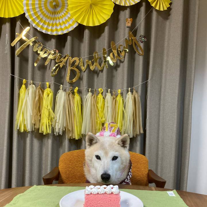 E44f9123 0c75 43c9 8ae8 a3bc9ee56be0 1704111877377