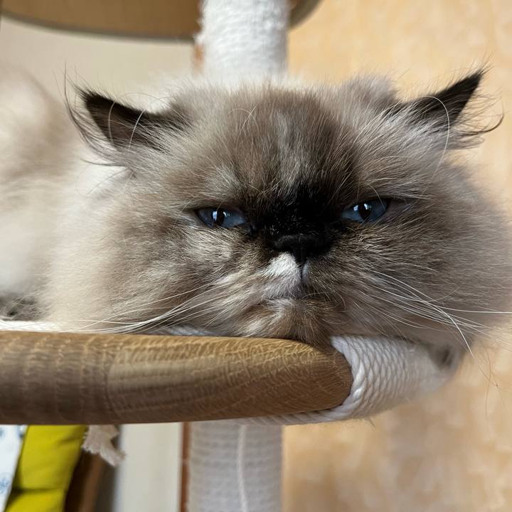 E44f99ea 40a5 4f56 9806 24724e66abc7 1697971109334