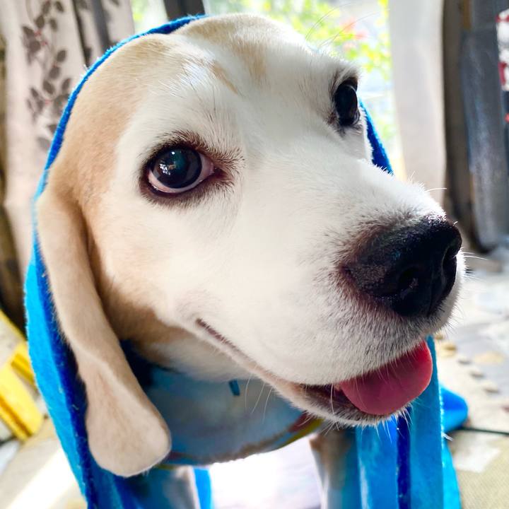 E44fae72 3cb4 43e5 90fe f0b9df5e3915 1636866439505