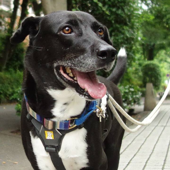 E450145d 2314 4c5f 8f1c 5f9ce3509bfc 1655512242244