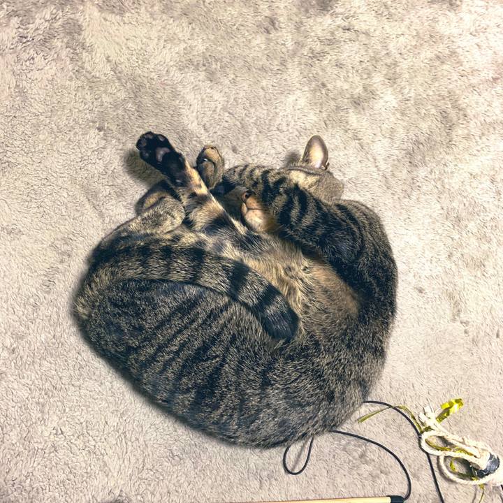 E450187a 86b7 44f9 a93a 81e18efcd701 1550409779771