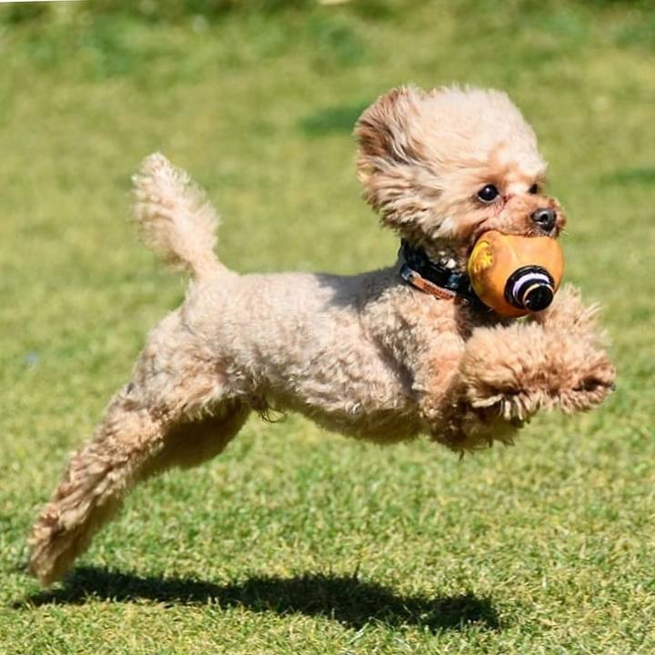 E4501e6d eef1 4fc9 89c7 4c0077e26bf5 1585435144381