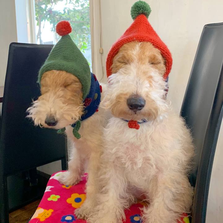 E450467f fbc5 4da6 912a bd9b482c7e0c 1547808682660