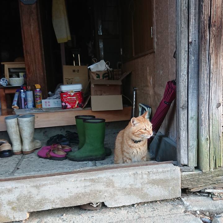 E45082d9 df21 498a b215 819d30b9fe5a 1662843338197