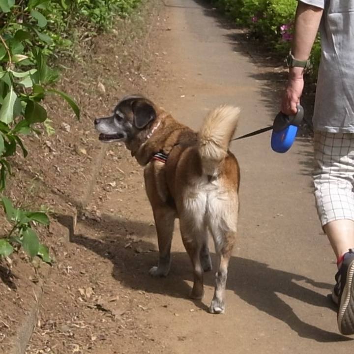 E45096ec f932 4dd2 a856 cce58291e419 1606694193091