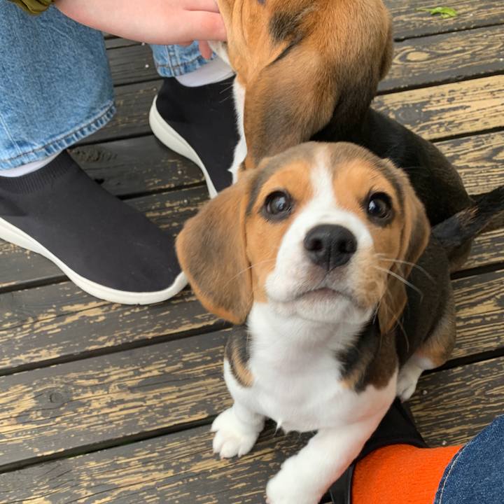 E4513b33 4d9e 4b88 bc2a 860f7e44ae34 1617791671908