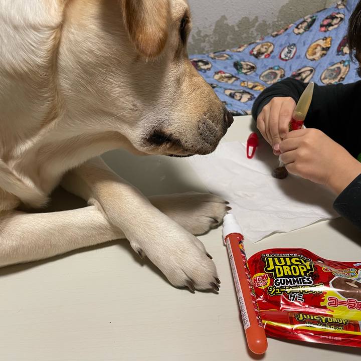 E451444a 99f5 4676 8003 65d4c0c351be 1644332781315