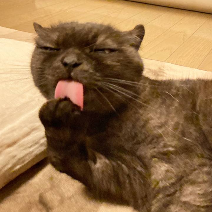 E4516587 66f5 4def 899b 5b0a12ad9f67 1601568369700