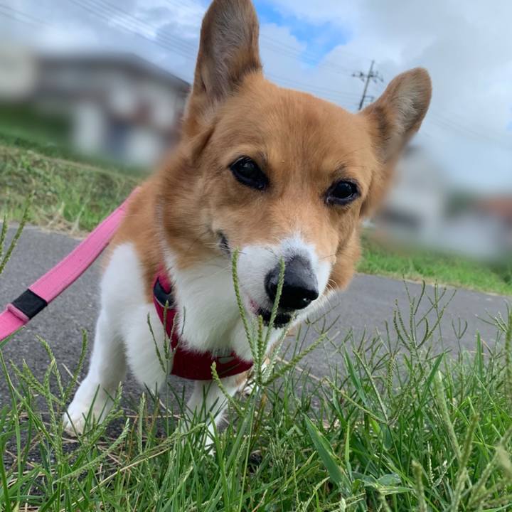 E4518727 4f1d 4658 8c98 002c78517b1d 1692748525144