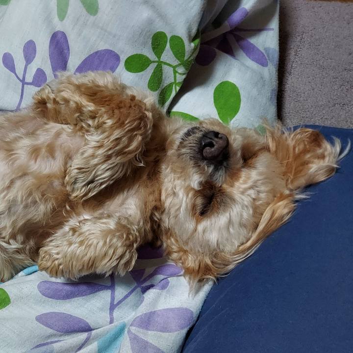 E451d809 00be 4859 b503 3104ed90c0f6 1682600695998