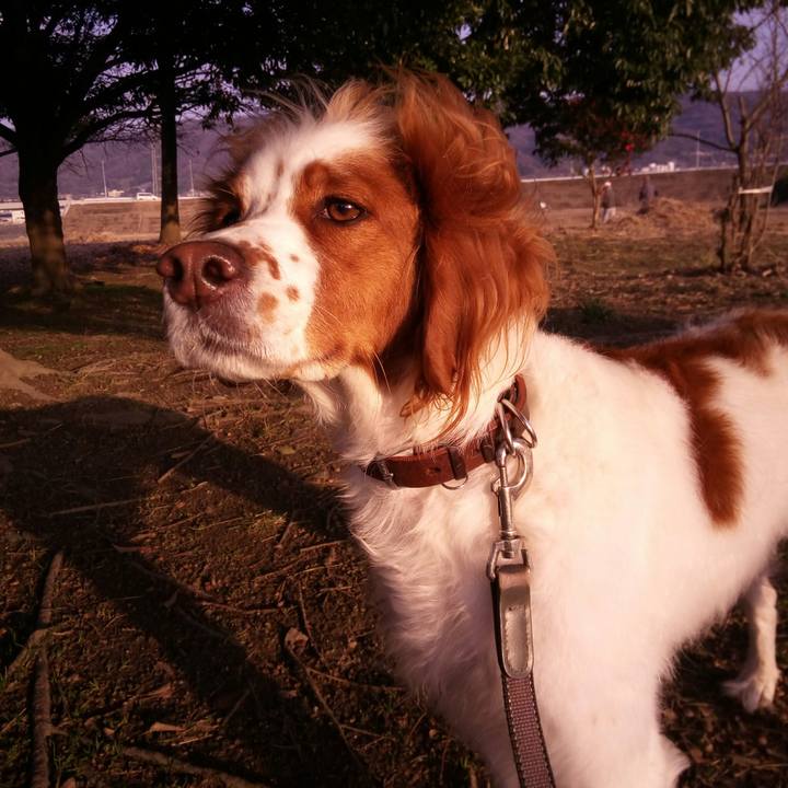 E451e839 3b20 42a9 8c86 1d25f3e3b6a2 1516695787387