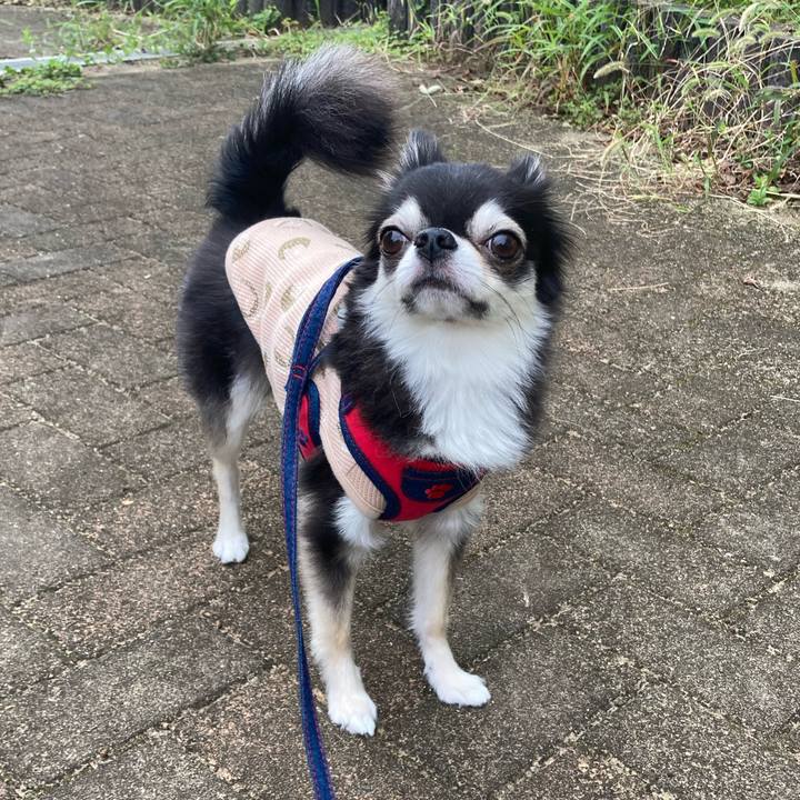 E452653d f294 479b 9c05 8b35ed31bf8a 1697298681688