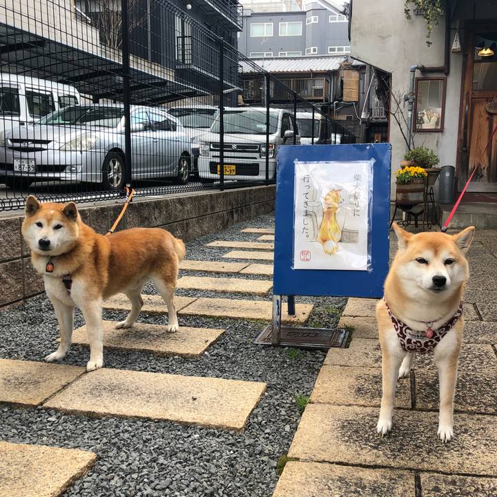 E452a900 c291 4dac 8a78 eb53e07119f1 1554284350842