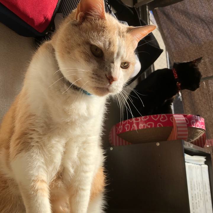 E452ba63 db8e 4cc8 9c4d c9cefae0fbb5 1606530810015