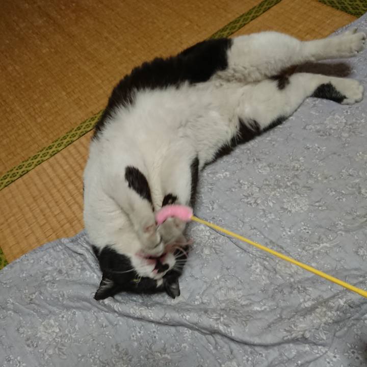 E452d82e c866 4255 b3b0 7992b3d38228 1649758539005